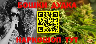 гидра Братск