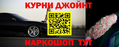 гидра Братск