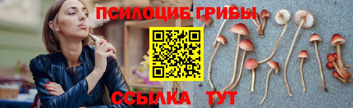 Псилоцибиновые грибы GOLDEN TEACHER Артём