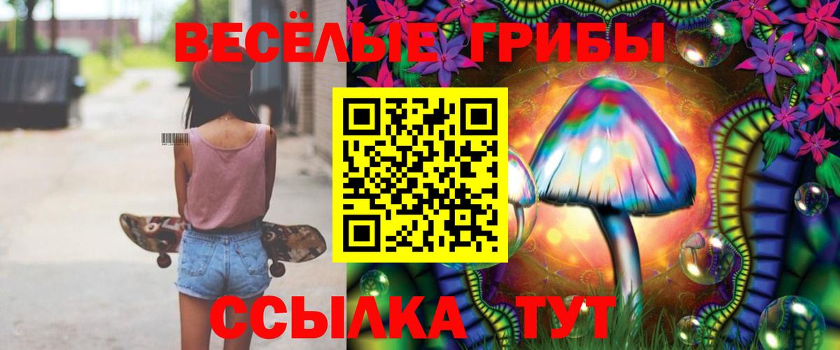 Артём  как найти   Вход с VPN  Галлюциногенные грибы Psilocybe 